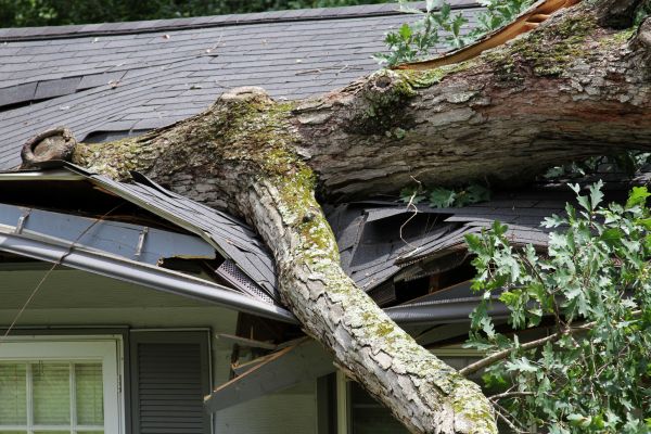 Cost of Storm Remediation in Brookfield