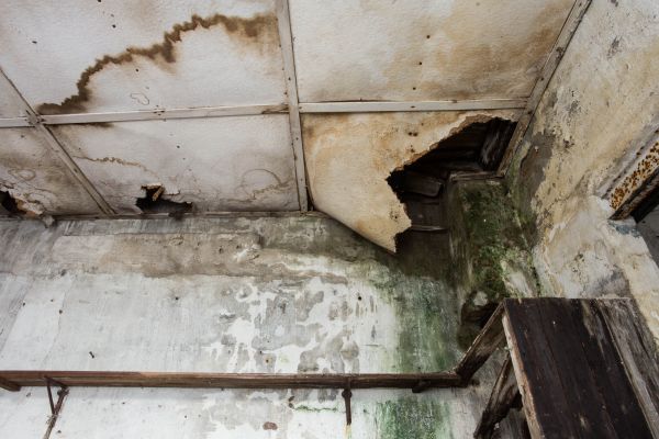 Water Damage Service in Brookfield