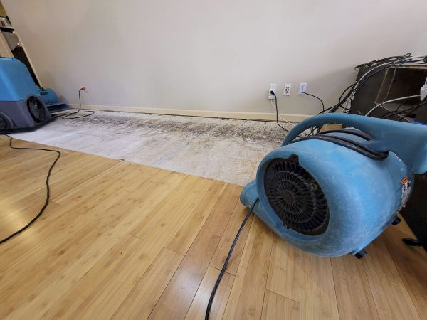 Cost of Water Damage Mitigation in Brookfield