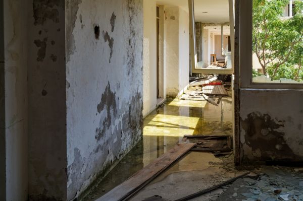 Water Removal Service in Brookfield