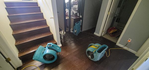 Water Damage Remediation in Brookfield