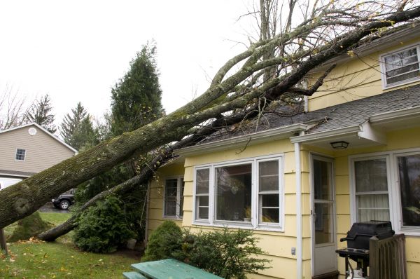 Hurricane Damage Repair in Brookfield